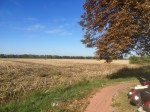 Another blue sky day as I pedal through farmland' trees looking autumnal