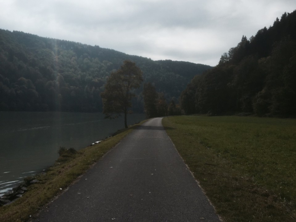 Cycle route continues through woodland