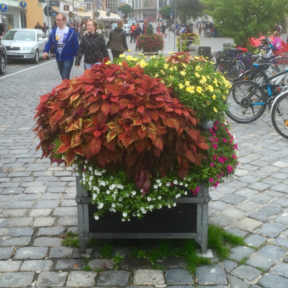 Straubing - flower box