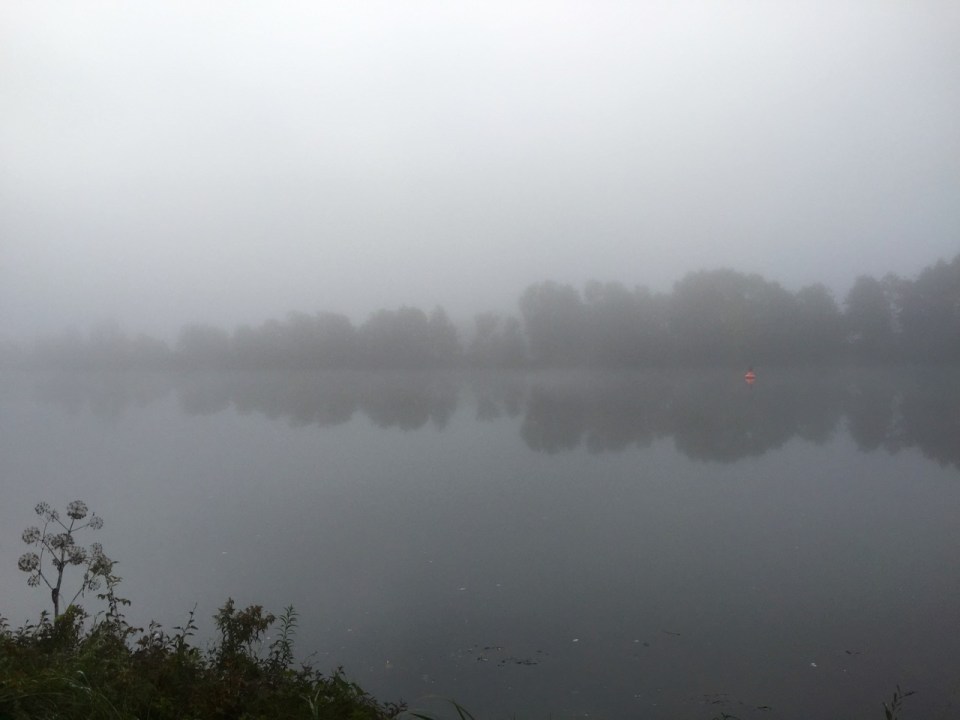 Fog on the Danube; orange buoy adds colour