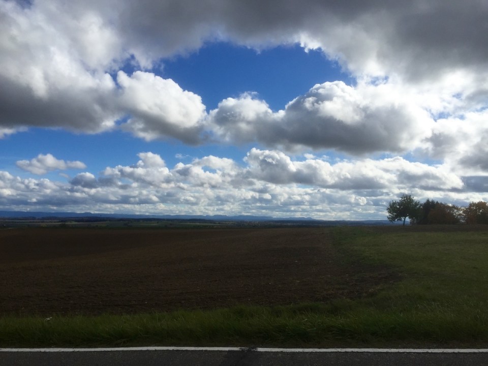 Not much in the way of Black Forest as yet