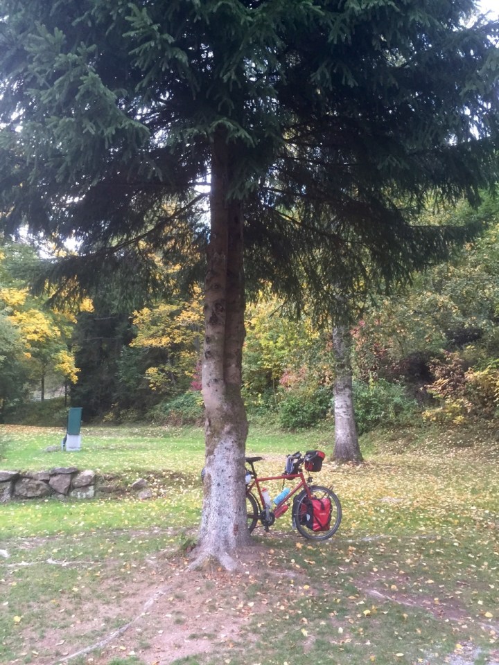 My camping spot for the night, Langenwald
