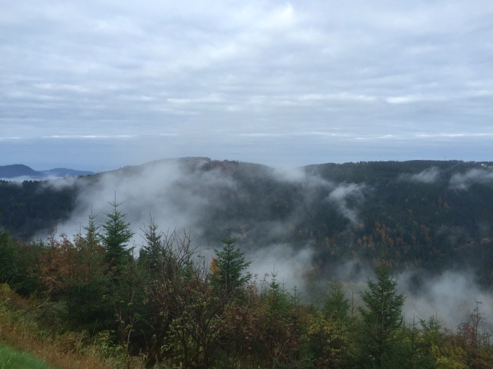 Blackforest Nature Park, Bad Peterstal-Griesbach