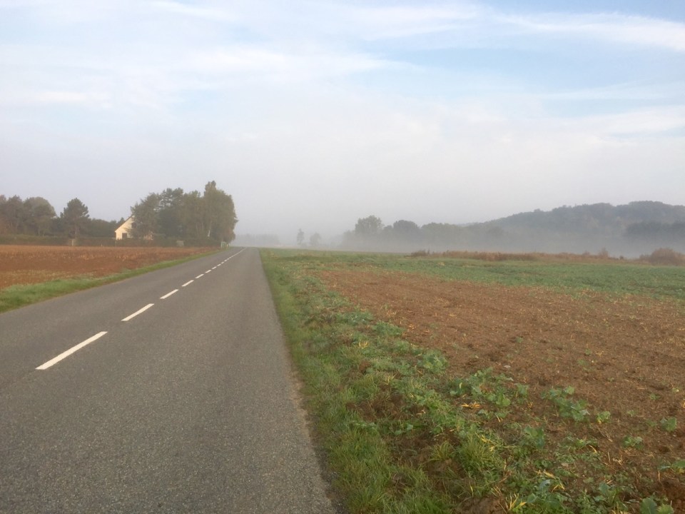 Early morning mist clinging to farmland