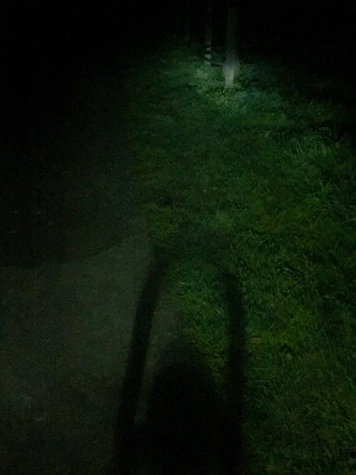 Luxos bike light illuminates the way