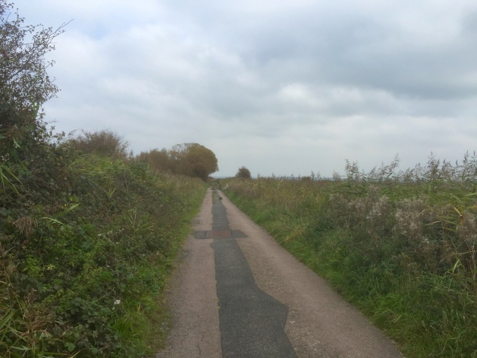 The old Marsh Road towards Bexhill