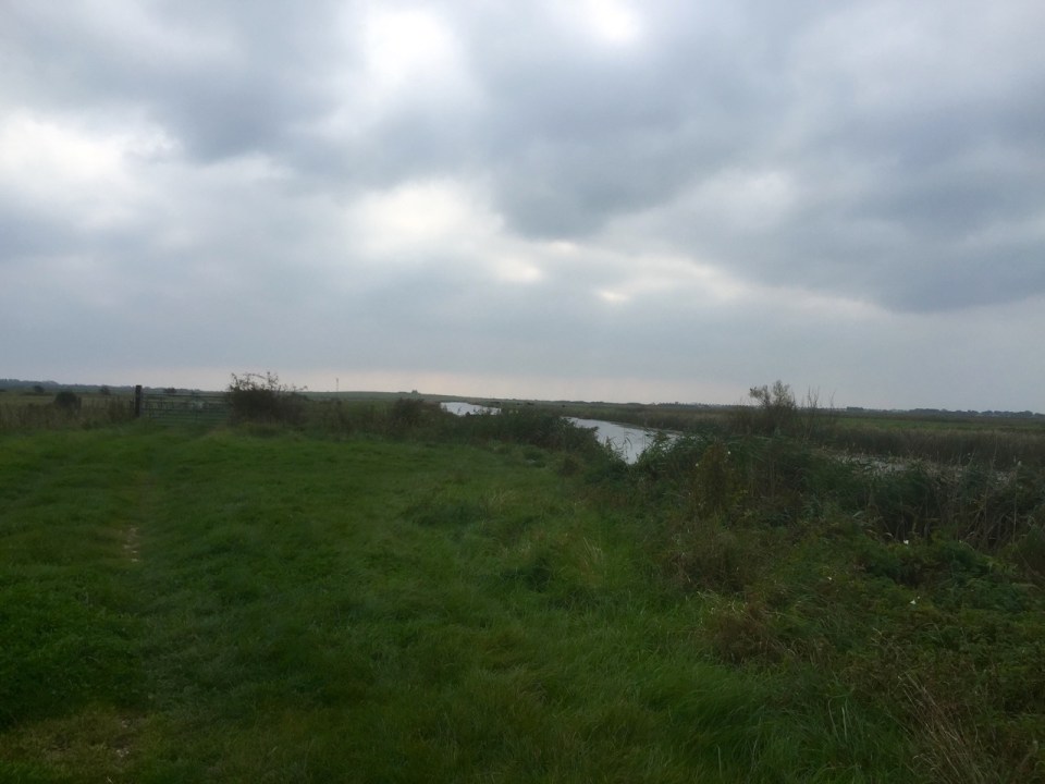 The Marshes - used to row on that river