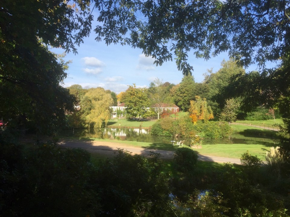 Powder Mills near Battle