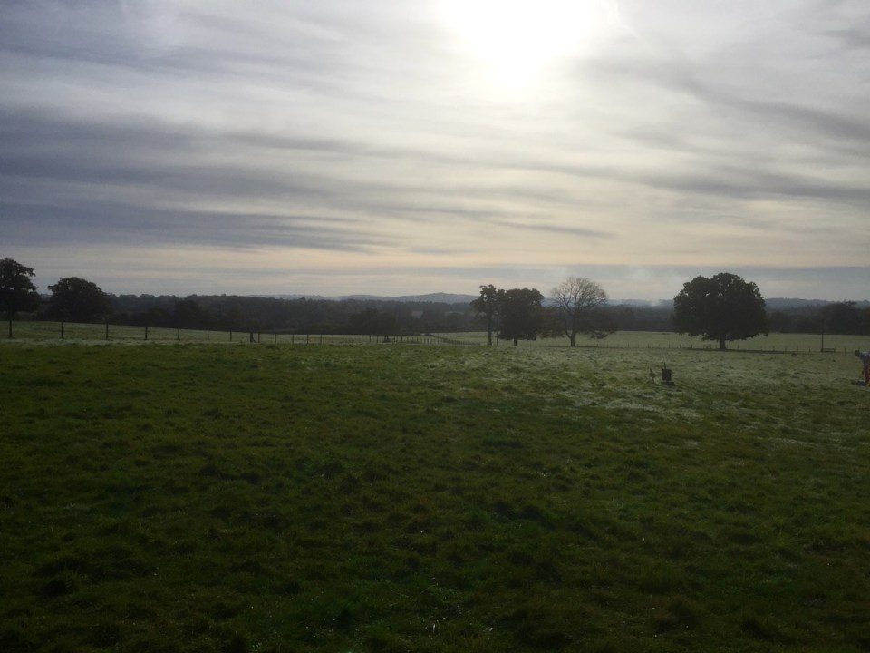 Morning view across Surrey countryside from Yestival