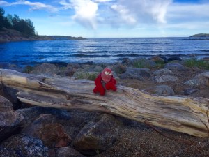 Travelling Lobster modelling a catalogue pose in Sweden