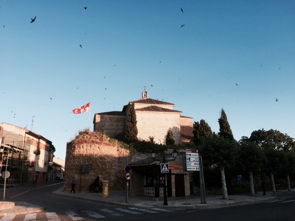 Swifts and Swallows in Carrión de Los Condes, Spain
