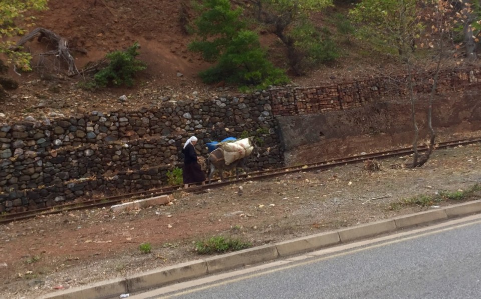 Lady with laden donkey in Albania
