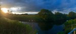 Swans and cygnet under threatening skies