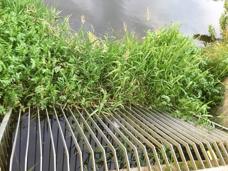 Water course into river barred to stop trolls infiltrating