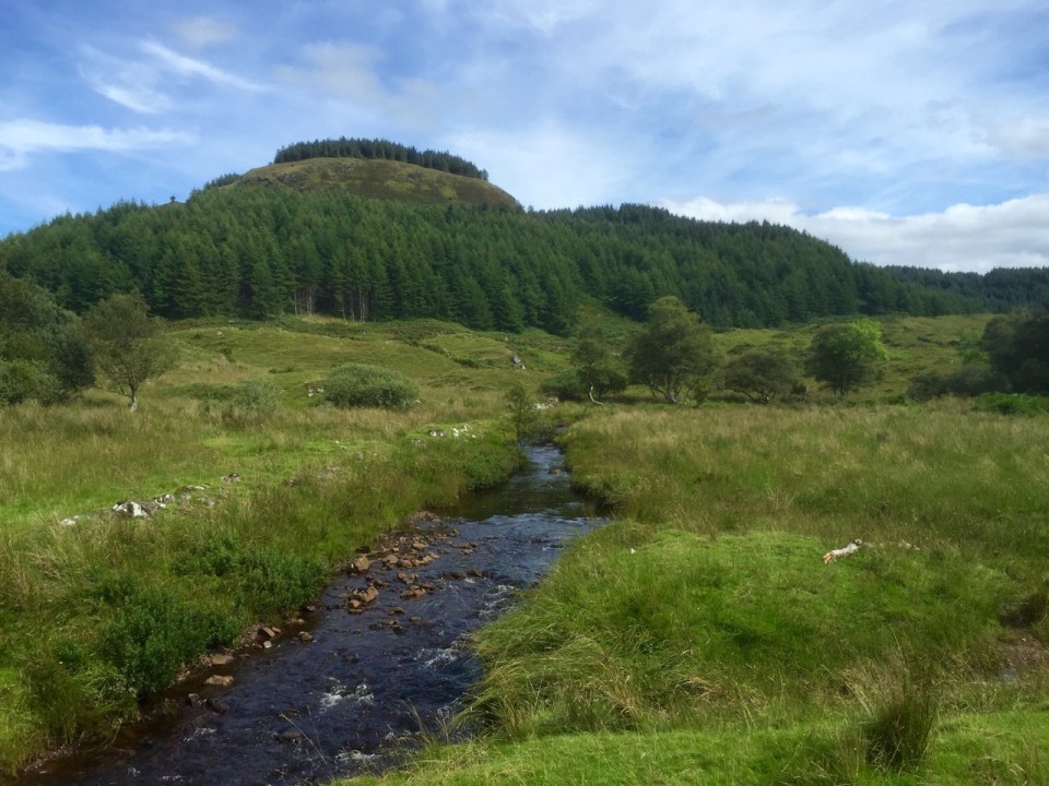 Crossing babbling brooks as I make my way up the hill