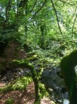 Stream down to the loch