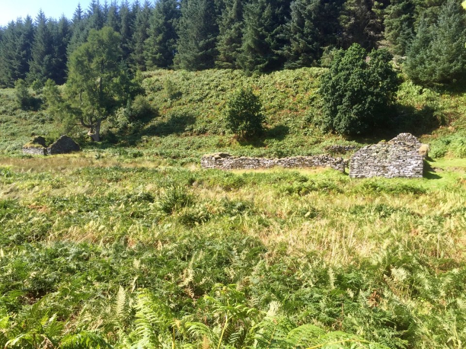Abandoned 16th century village deep on the forest