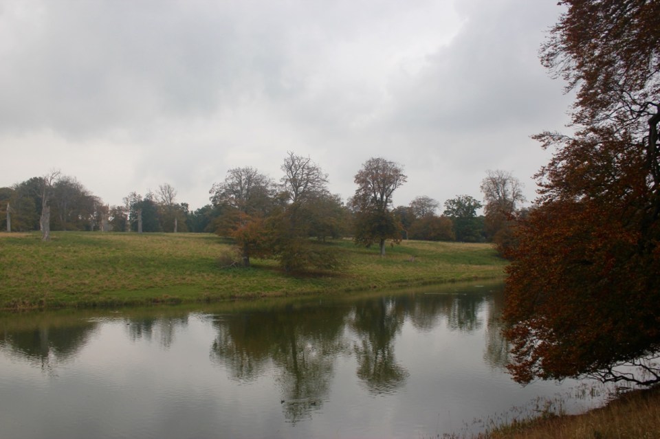 Ducks are a dabbling