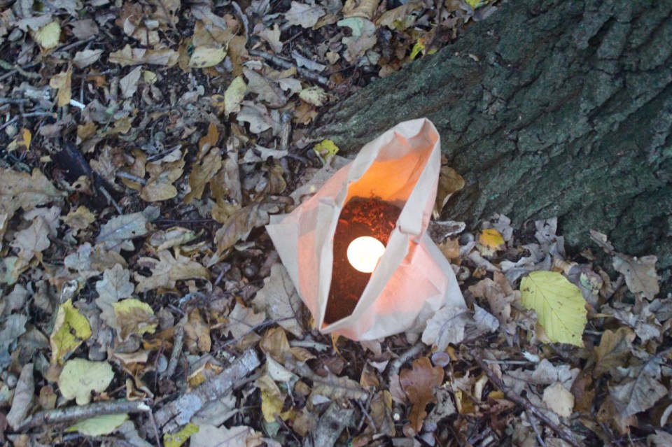 Tea light lead a trail through the woods