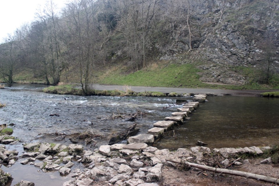 River was quite high last week; lots of debris