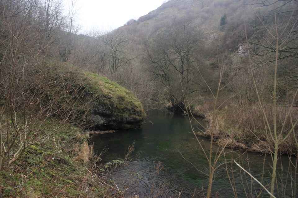 Magical green river water