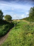 Icknield Way 2 - getting bumpier