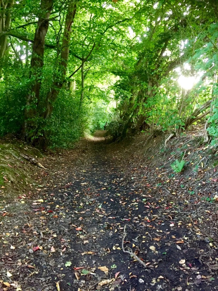 Garmin lead me astray - quite an exciting descent