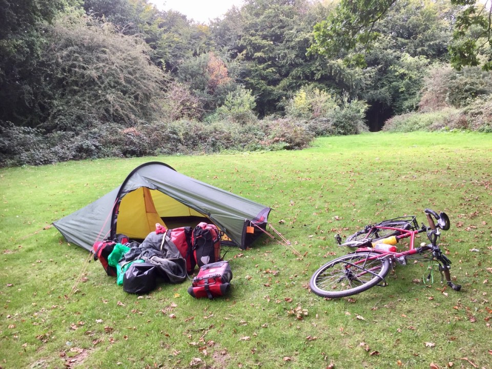 Forest campsite near Marlborough