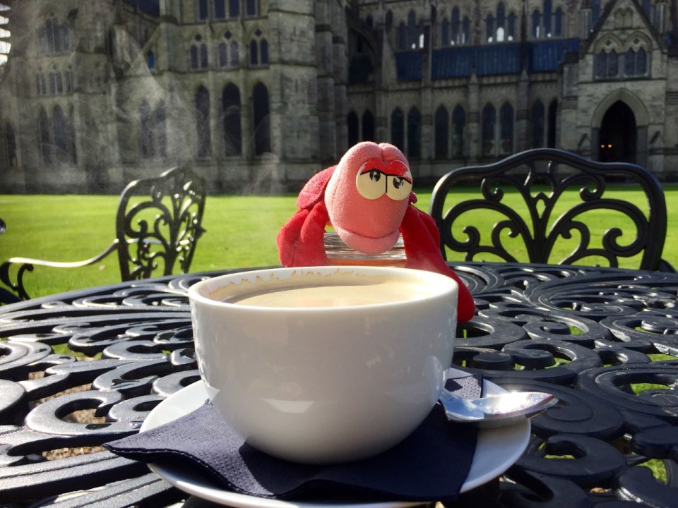 Coffee break - Travelling Lobster disappointed at lack of cake