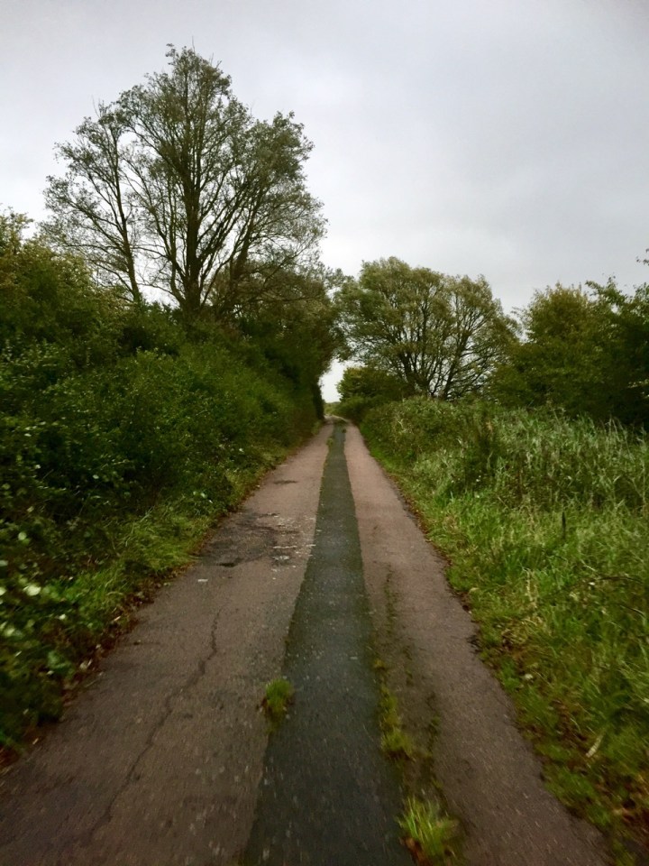 Old Marsh Road towards Bexhill