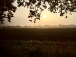 Sunrise near Salhouse