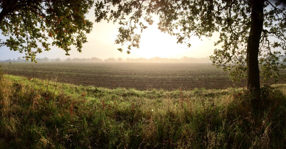 Sunrise near Salhouse 2