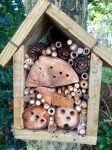 Bee boxes - home for insects