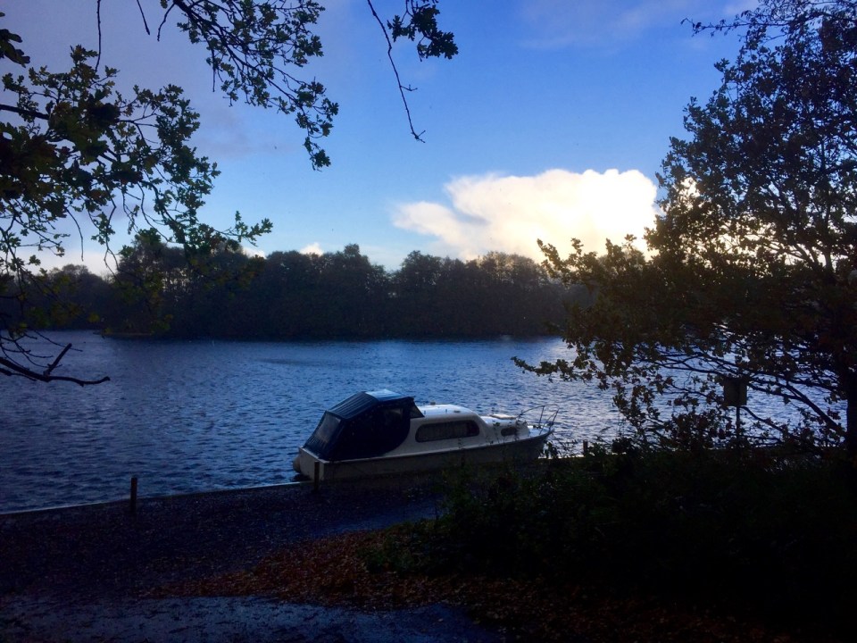 Same boat, different light - cold