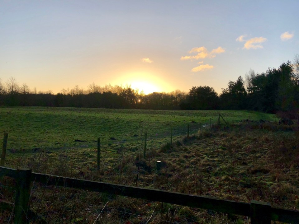 Sunrise near Whittlingham Broad