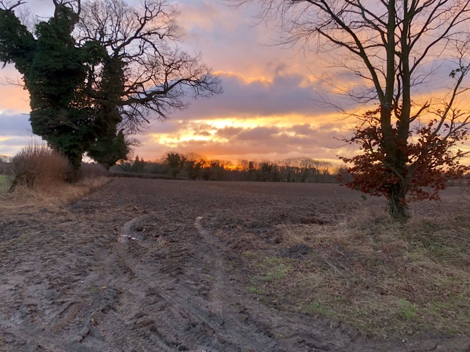 New route to work past lots of farmland