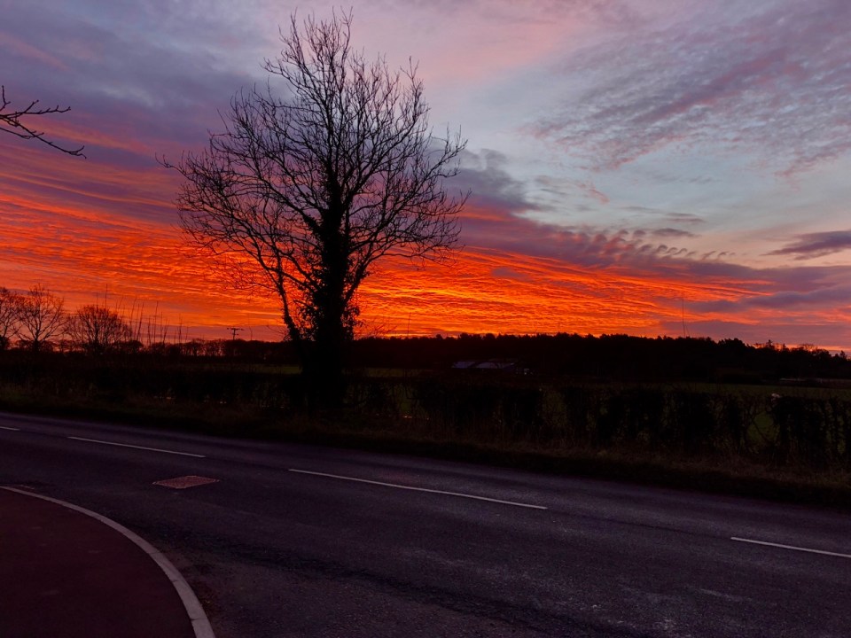 Red sky in the morning, shepherds warning?