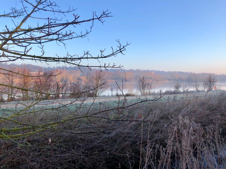 Frosty morning down by the Broad