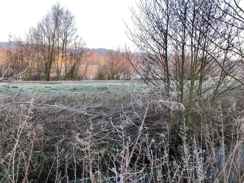 Nearly ended up in the ditch, tad icy