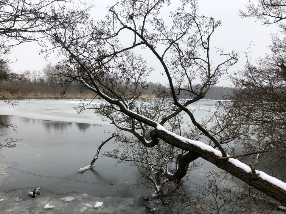 Salhouse Broad froze