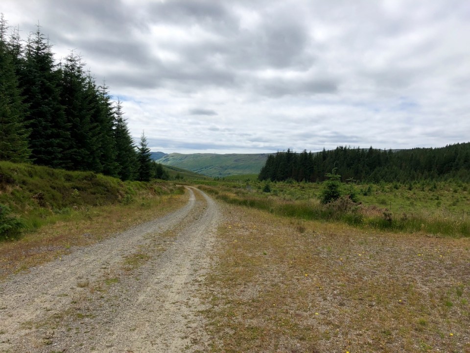 Trail winding up over the hills