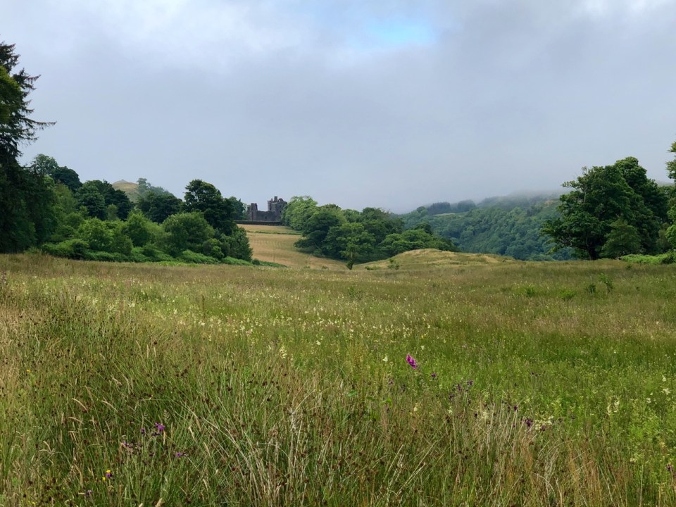 Approaching Carnasserie Castle
