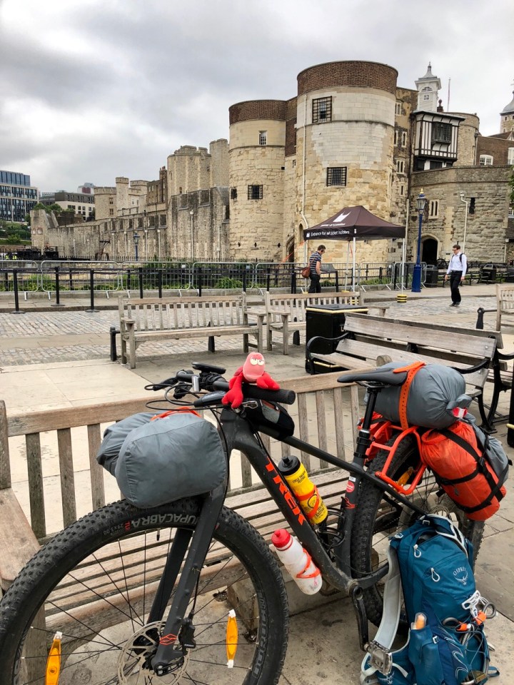 Travelling Lobster at the Tower of London