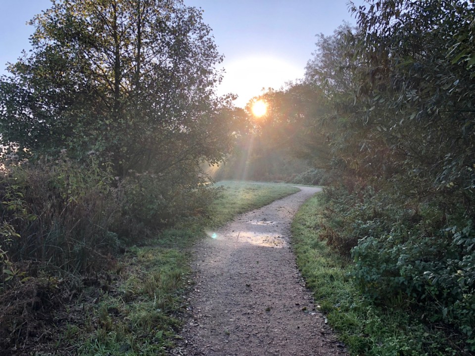 Path alongside the Broad, early morning