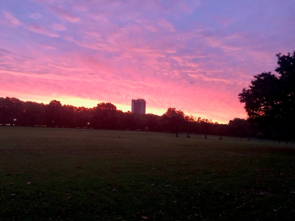 Sunrise in Hyde Park