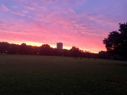 Sunrise in Hyde Park