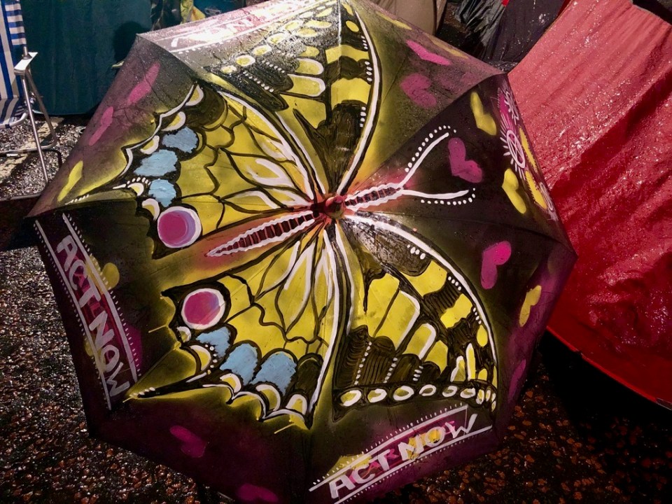 Swallowtails forever