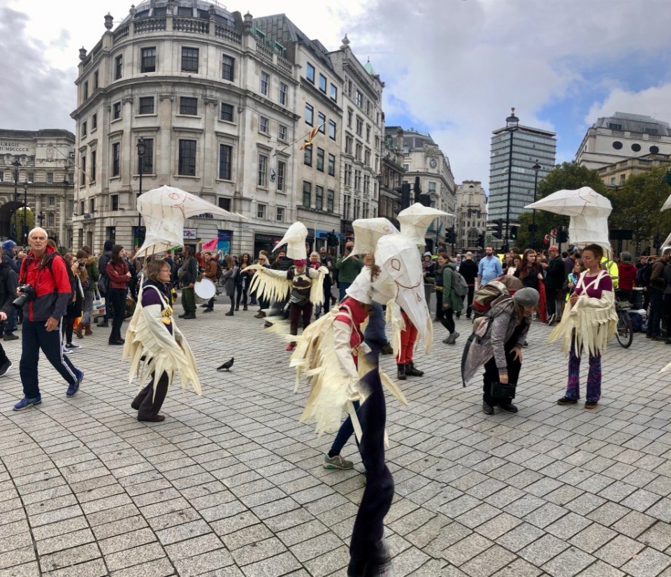 Norwich Birds in action in Trafalgar Square