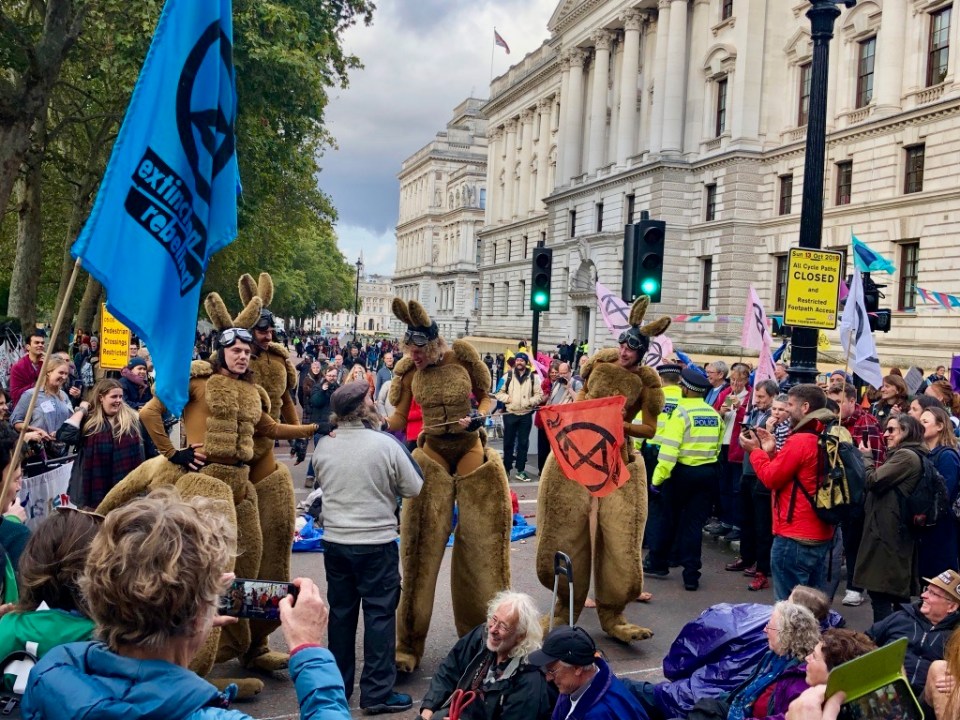 Antipodien kangaroo reinforcements