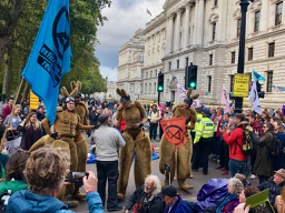 Antipodian kangaroo reinforcements